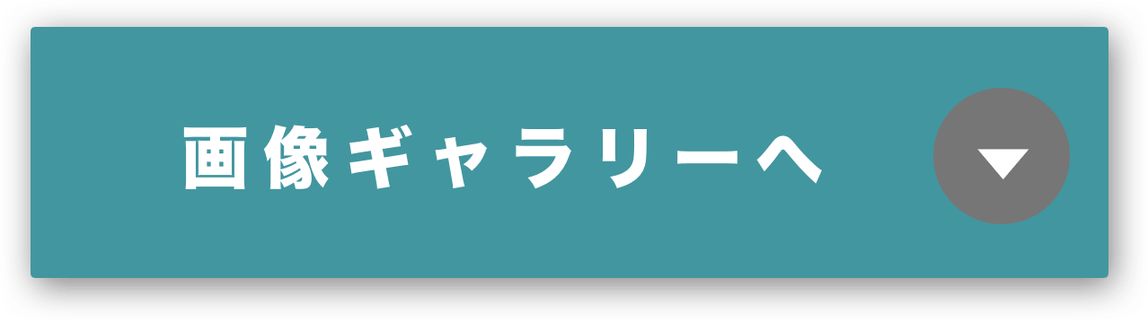 鎌倉大仏高徳院 音声ガイド Pokke ポッケ