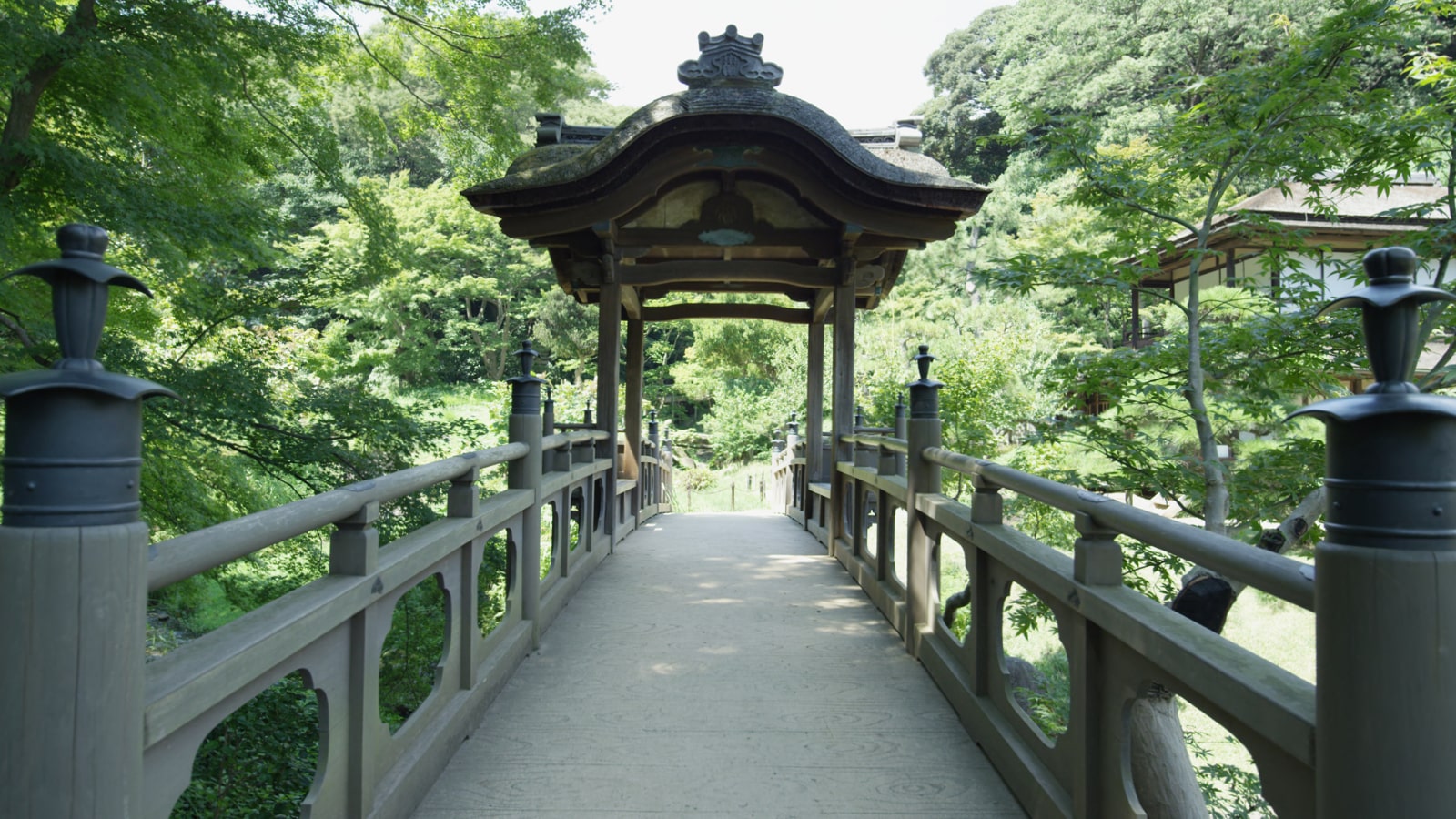 油絵 風景画 神奈川三渓園の枝垂桜【4月】P10 61mglpWTVtL._UF350,350_QL50_.jpg