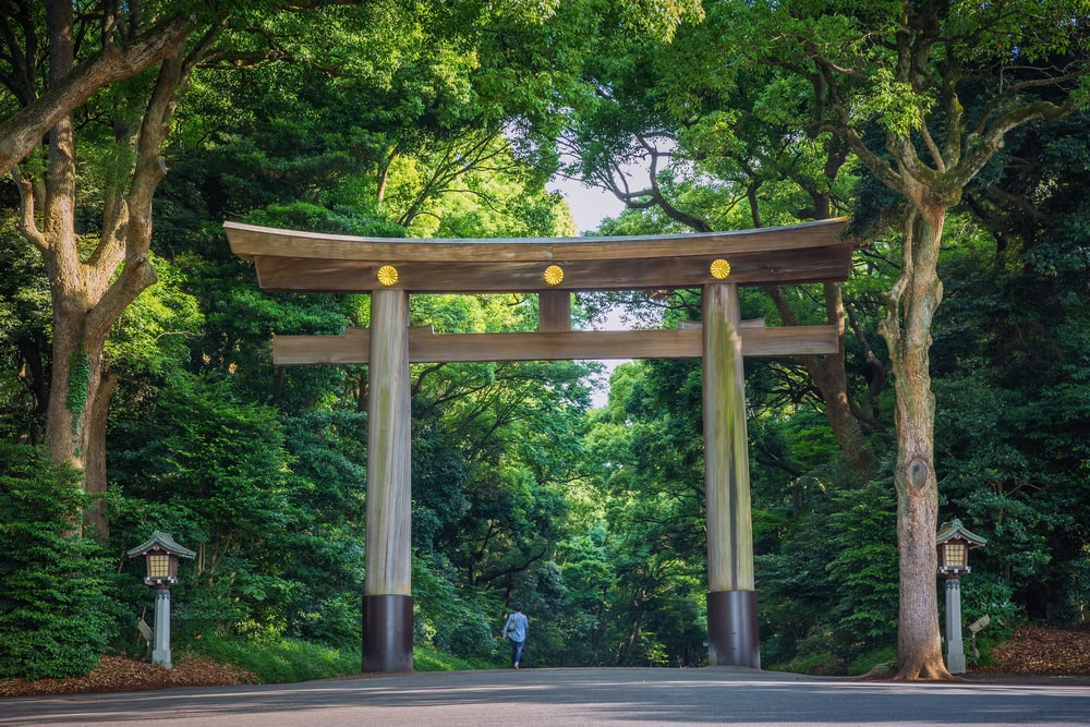 Pokkeについて