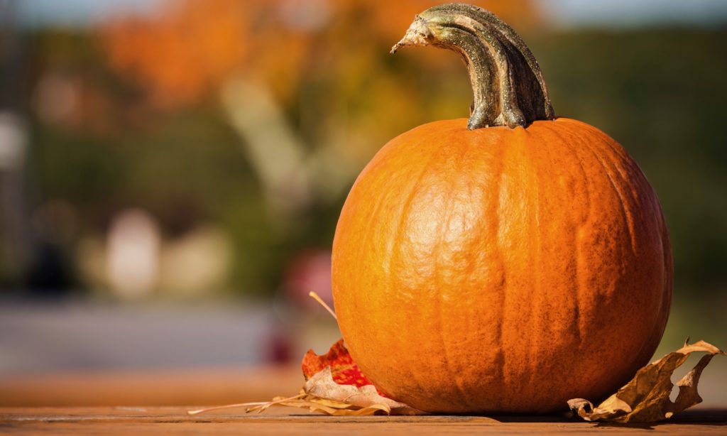 秋の食べ物　かぼちゃ