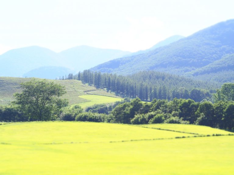 地元民が教える 北海道観光の定番 穴場スポットを徹底紹介 Pokke ポッケ