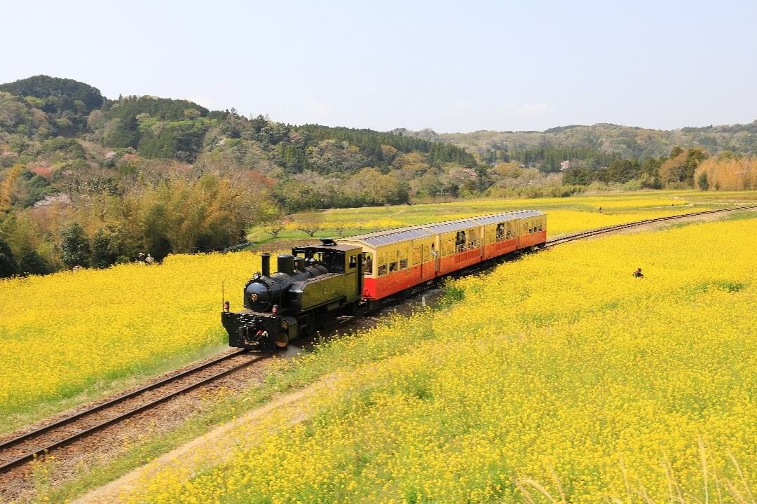 養老渓谷駅 Pokke ポッケ