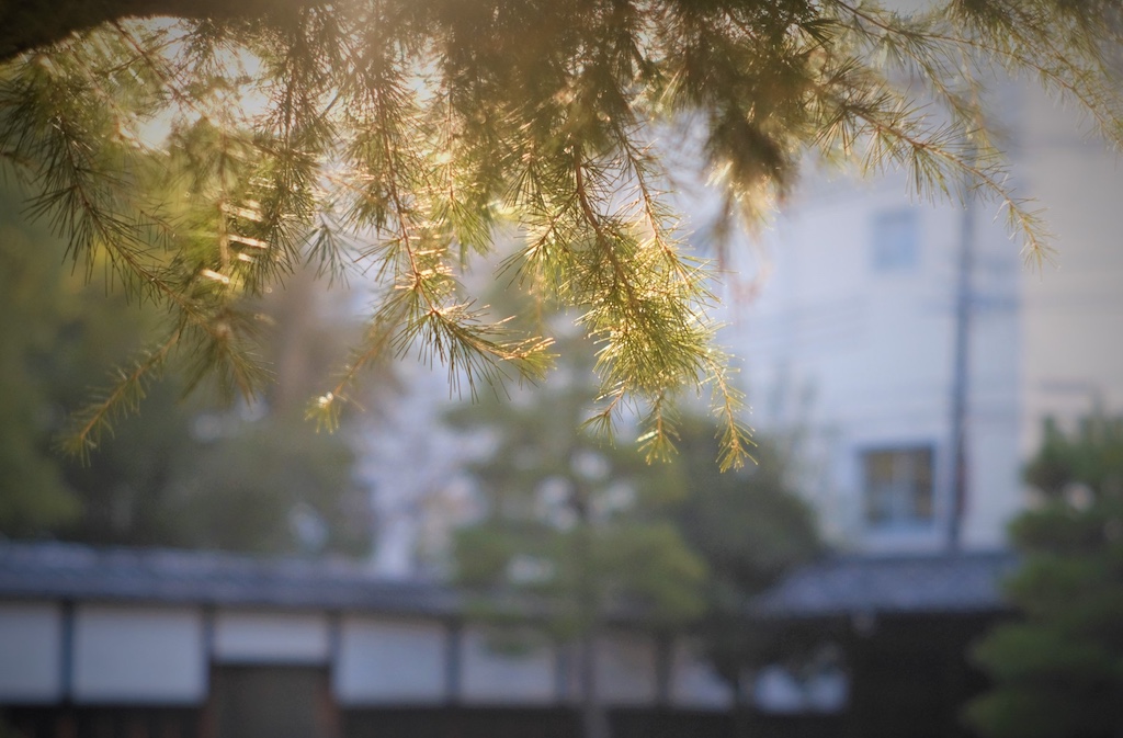 大玄関前　予感の空間の画像