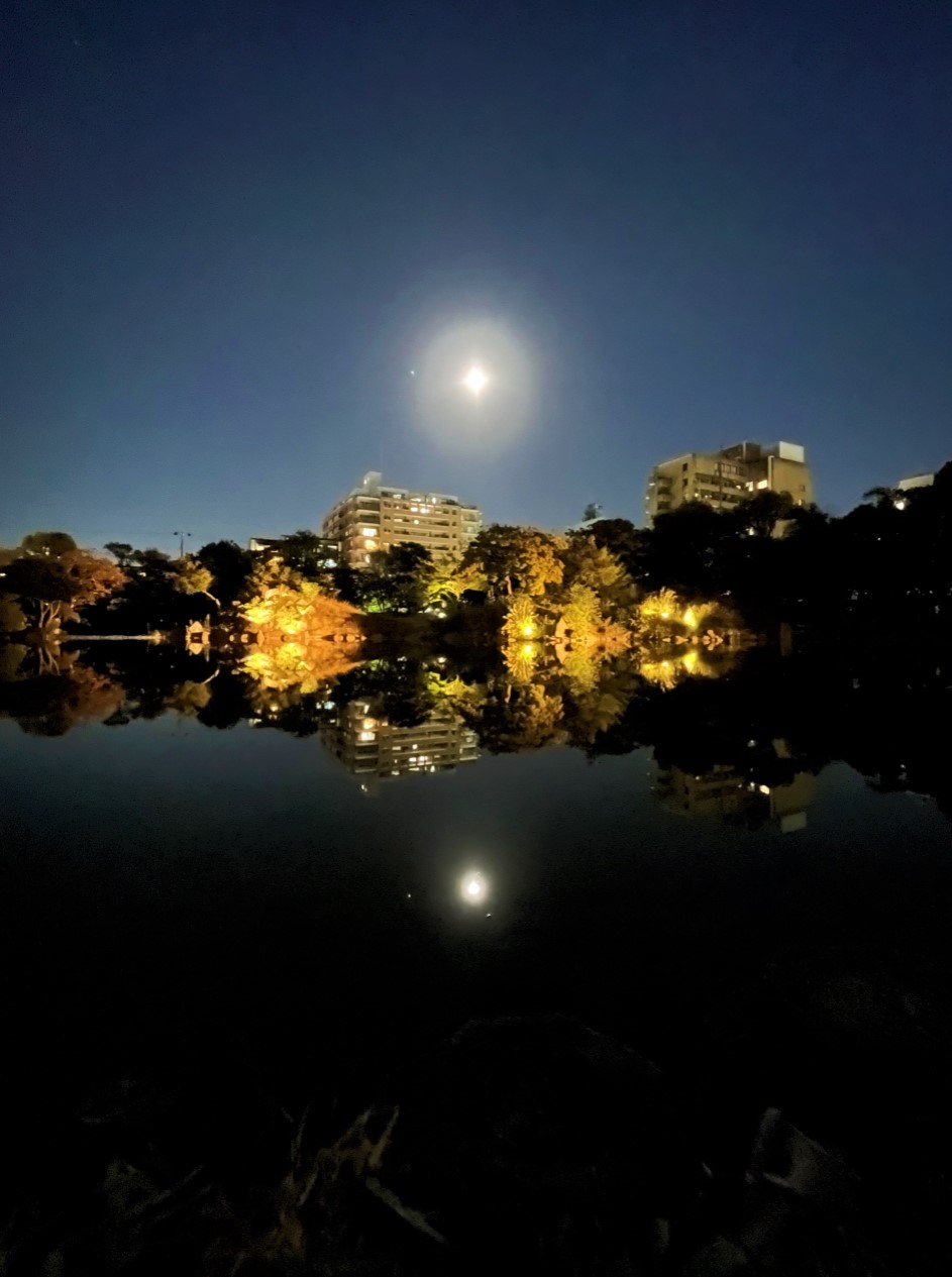 印月池と南大島の画像