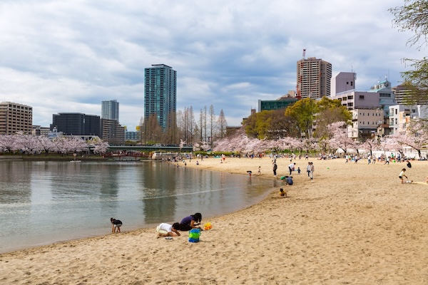 大川 毛馬桜之宮公園 大阪ふれあいの水辺（水都大阪）の画像