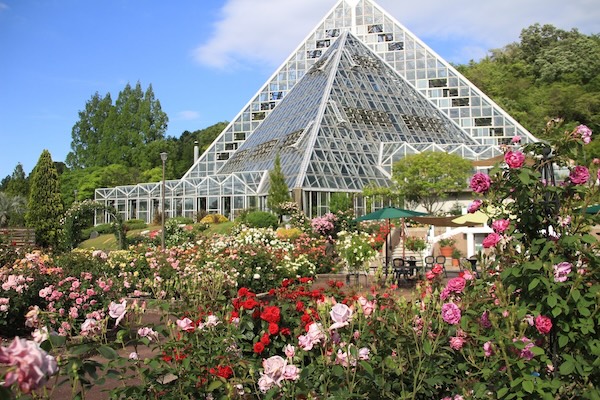 大阪府立花の文化園の画像